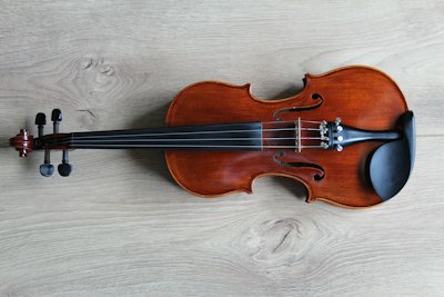Violon